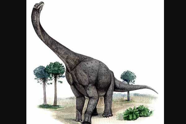 兰普龙:印度巨型蜥脚恐龙(体长10米/生存于1.9亿年前)