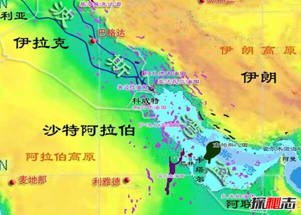 沙特阿拉伯12大真实生活 一升水比一升石油还贵(石油王国)