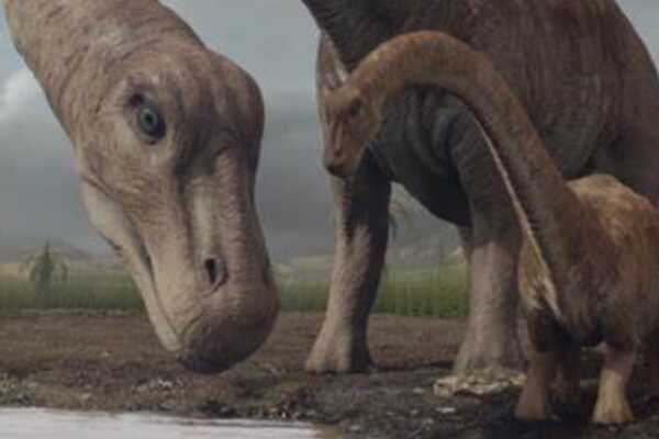 玛君龙:非洲大型兽脚恐龙(喜欢同类相食/头顶长角饰)