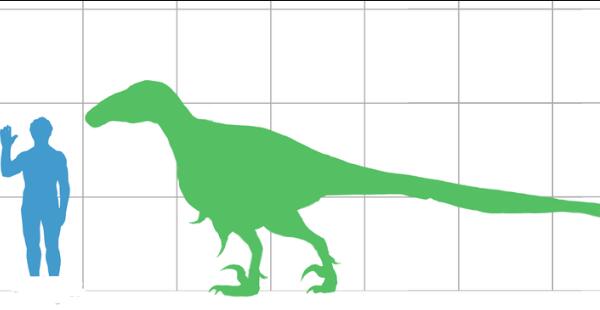 黑水龙：世界上最古老的恐龙之一（长2.5米/2.03亿年前）