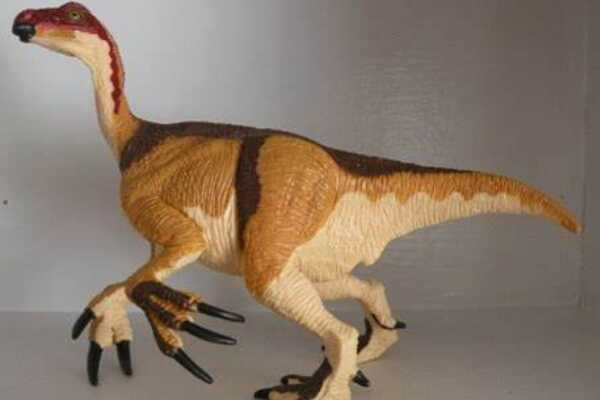 诺普乔椎龙:南美蜥脚类恐龙(仅出土一块脊骨化石)