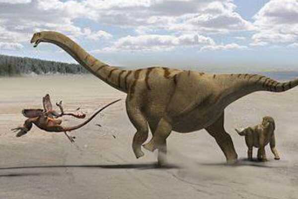 原龙:主龙形下纲爬行动物(长2米/类似现代蜥蜴)