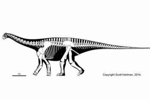 原龙:主龙形下纲爬行动物(长2米/类似现代蜥蜴)
