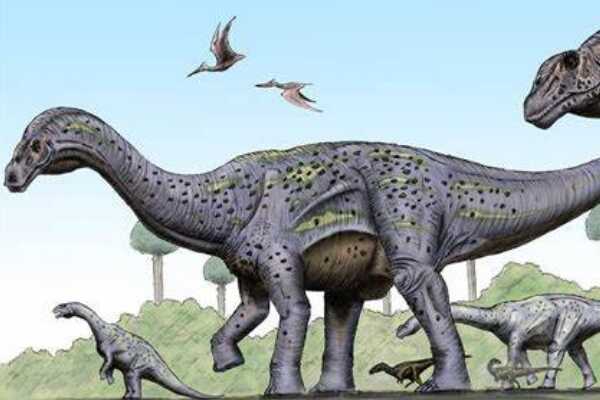 五角龙:北美大型恐龙(面部长有5个角/长8米)