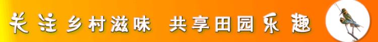 人死后为什么要脸上盖火纸,人死后为啥会脸上有红斑