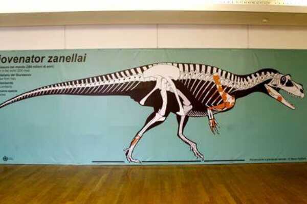 翼椎龙:德国小型恐龙(长2米/仅发掘一块脊椎骨)