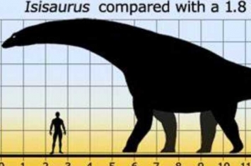 伊希斯龙:最后的植食性蜥脚类恐龙(长18米/脖子较短)