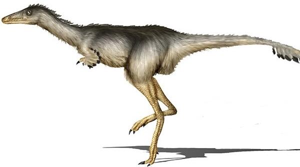 副栉龙：加拿大大型食草恐龙（长10米/距今6500万年前）
