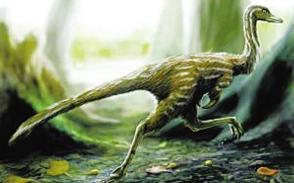 副栉龙：加拿大大型食草恐龙（长10米/距今6500万年前）