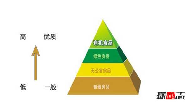 永生人叶先国真的存在？没脑组织能活吗（实际是小说节选）