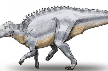 沼泽龙：欧洲中型食草恐龙（长5米/距今6500万年前）