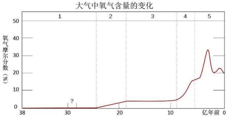 人为什么会死亡呢,人类为什么恐惧死亡