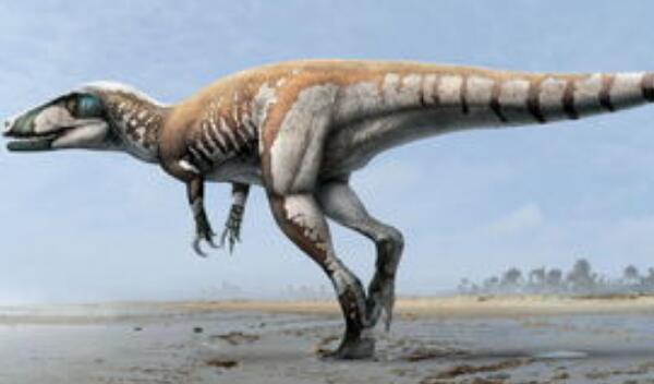 探索龙：阿根廷超巨型恐龙（长20米/距今8300万年前）