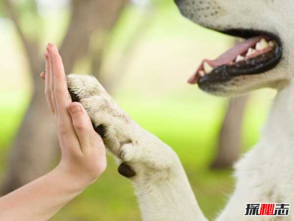 人彘是怎么活下来的？戚夫人人彘后活了多久