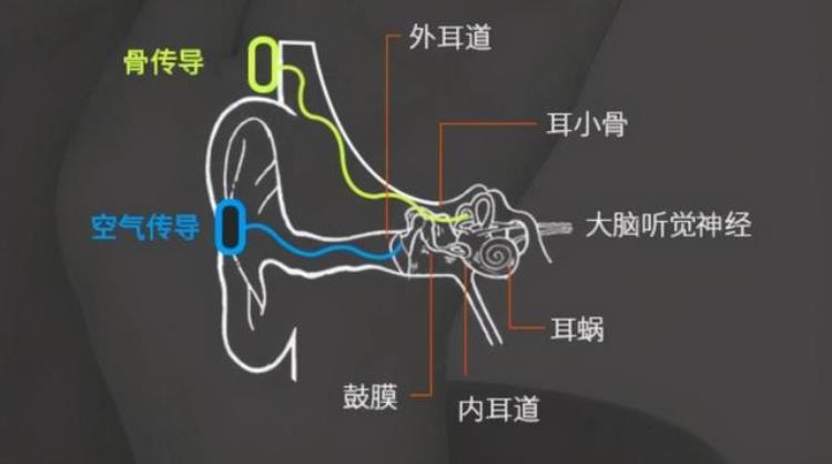 人死亡后可以听到周围声音,人在临死前会一直喊叫吗