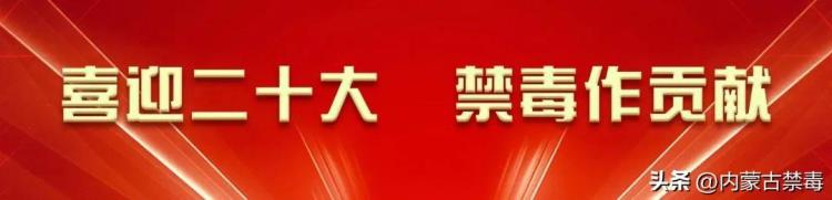 携手共谱禁毒曲筑牢青年防毒墙「齐聚一堂共话禁毒」