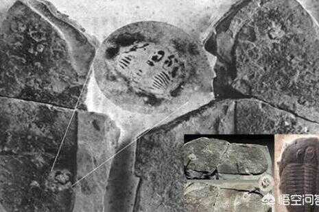 远古新发现最大的考古谜团(世界各地有哪些远古人类考古发现)
