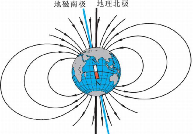 老鼠会不会主动咬人?被老鼠咬了要怎么办（及时治疗）